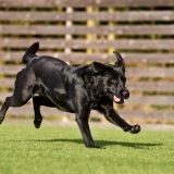 【1月】臨時休診のお知らせ