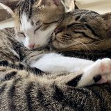 【2月】臨時休診のお知らせ